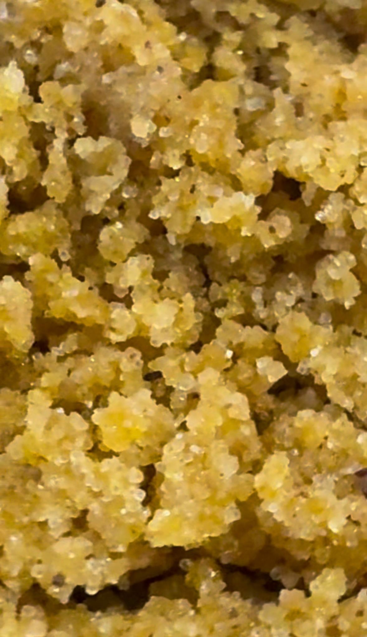 PĪLĀDZIS - ķermeņa skrubis, 200ml